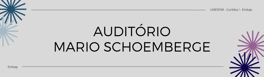 Auditório Mario Schoemberge